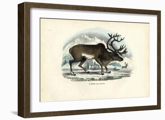 Reindeer, 1863-79-Raimundo Petraroja-Framed Giclee Print