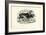 Reindeer, 1863-79-Raimundo Petraroja-Framed Giclee Print