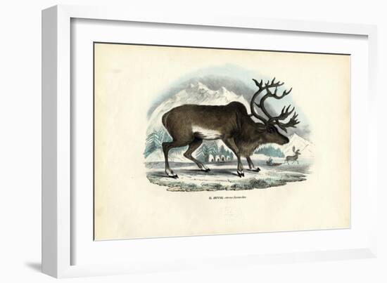 Reindeer, 1863-79-Raimundo Petraroja-Framed Giclee Print