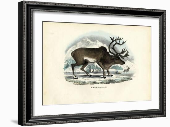 Reindeer, 1863-79-Raimundo Petraroja-Framed Giclee Print