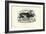 Reindeer, 1863-79-Raimundo Petraroja-Framed Giclee Print