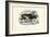 Reindeer, 1863-79-Raimundo Petraroja-Framed Giclee Print