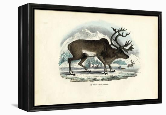 Reindeer, 1863-79-Raimundo Petraroja-Framed Premier Image Canvas