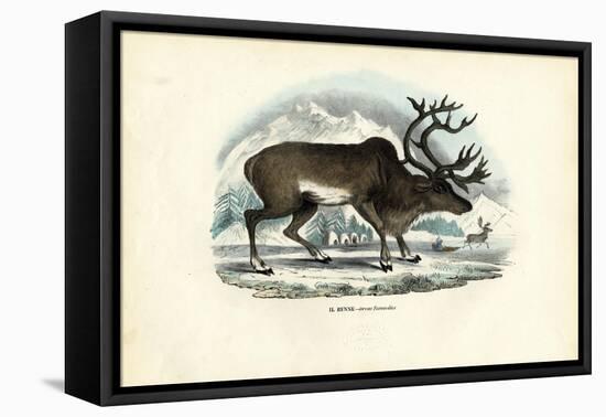 Reindeer, 1863-79-Raimundo Petraroja-Framed Premier Image Canvas