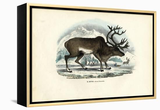 Reindeer, 1863-79-Raimundo Petraroja-Framed Premier Image Canvas