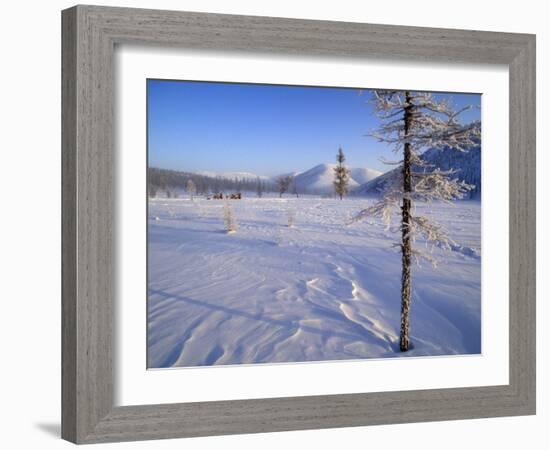 Reindeer and Herders Crossing Winter Tundra, Ayanka, Kamchatka, Russian Far East, Russia-Nick Laing-Framed Photographic Print