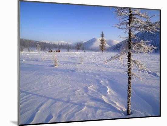 Reindeer and Herders Crossing Winter Tundra, Ayanka, Kamchatka, Russian Far East, Russia-Nick Laing-Mounted Photographic Print