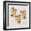 Reindeer Biscuits-Assaf Frank-Framed Giclee Print