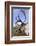 Reindeer bull reindeer with antlers in velvet, Cairngorm National Park, Speyside, Scotland,-Laurie Campbell-Framed Photographic Print