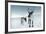 Reindeer Female-Ann & Steve Toon-Framed Photographic Print