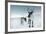 Reindeer Female-Ann & Steve Toon-Framed Photographic Print