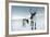 Reindeer Female-Ann & Steve Toon-Framed Photographic Print