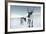 Reindeer Female-Ann & Steve Toon-Framed Photographic Print