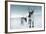 Reindeer Female-Ann & Steve Toon-Framed Photographic Print