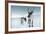 Reindeer Female-Ann & Steve Toon-Framed Photographic Print