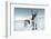 Reindeer Female-Ann & Steve Toon-Framed Photographic Print