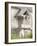 Reindeer Horns above Abandon House, Vic and Gudvagen, Norway-Russell Young-Framed Photographic Print