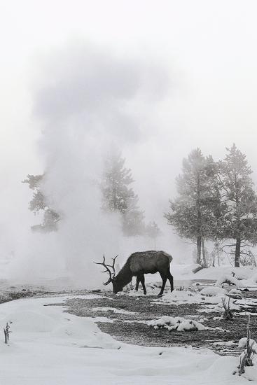 Photographic Print, , large