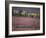 Reindeer Migration Across Tundra, Kobuk Valley National Park, Alaska, USA, North America-Staffan Widstrand-Framed Photographic Print