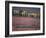 Reindeer Migration Across Tundra, Kobuk Valley National Park, Alaska, USA, North America-Staffan Widstrand-Framed Photographic Print