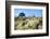 Reindeer moss lichen growing on heathland, Dorset, UK-Nick Upton-Framed Photographic Print