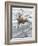 Reindeer (Rangifer Tarandus)-null-Framed Giclee Print