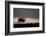 Reindeer Silhouetted Against Sky-Mark Hamblin-Framed Photographic Print