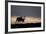 Reindeer Silhouetted Against Sky-Mark Hamblin-Framed Photographic Print