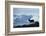 Reindeer, Svalbard, Norway-Paul Souders-Framed Photographic Print