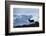 Reindeer, Svalbard, Norway-Paul Souders-Framed Photographic Print