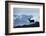 Reindeer, Svalbard, Norway-Paul Souders-Framed Photographic Print