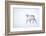 Reindeer walking in snow, Svalbard, Norway-Danny Green-Framed Photographic Print