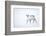 Reindeer walking in snow, Svalbard, Norway-Danny Green-Framed Photographic Print