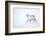 Reindeer walking in snow, Svalbard, Norway-Danny Green-Framed Photographic Print