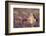 Reindeer week old calf sheltering in heather, Cairngorm National Park, Speyside, Scotland-Laurie Campbell-Framed Photographic Print