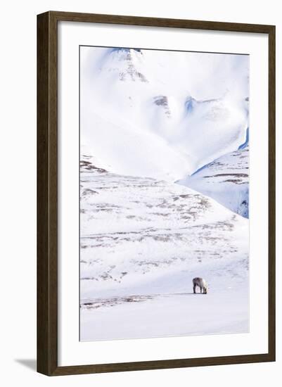 Reindeer-leaf-Framed Photographic Print