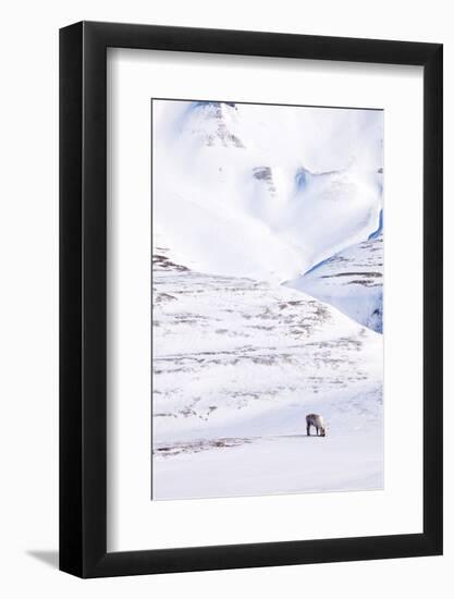 Reindeer-leaf-Framed Photographic Print