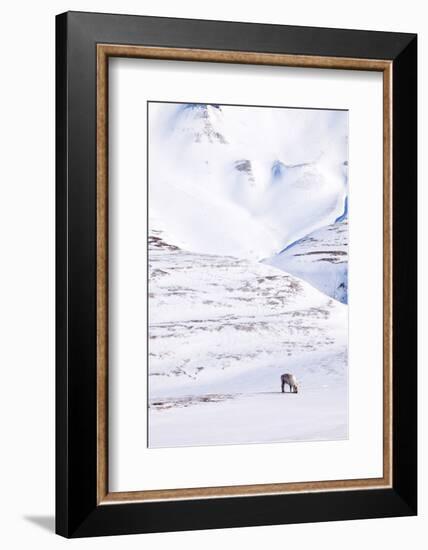 Reindeer-leaf-Framed Photographic Print