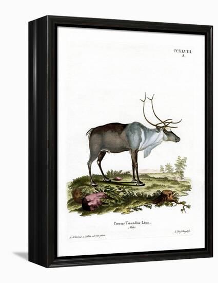 Reindeer-null-Framed Premier Image Canvas