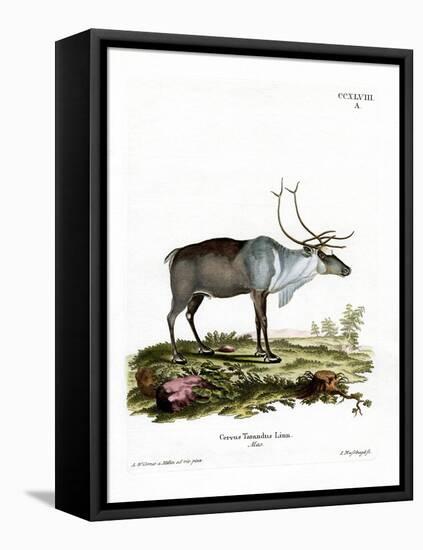 Reindeer-null-Framed Premier Image Canvas