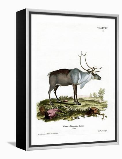 Reindeer-null-Framed Premier Image Canvas