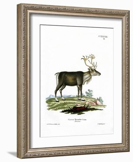 Reindeer-null-Framed Giclee Print