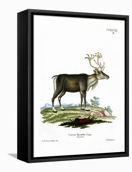 Reindeer-null-Framed Premier Image Canvas