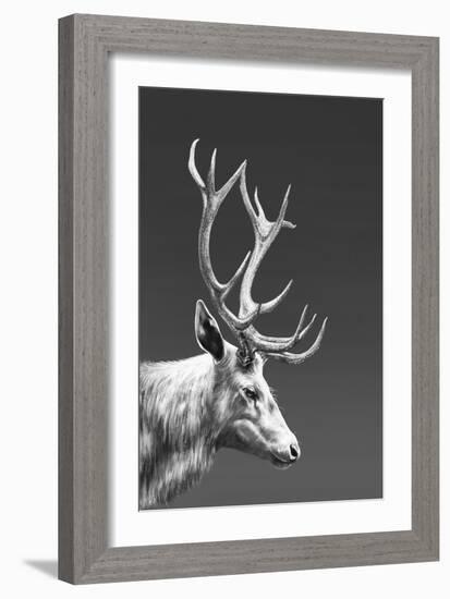 Reindeer-Gabriella Roberg-Framed Giclee Print