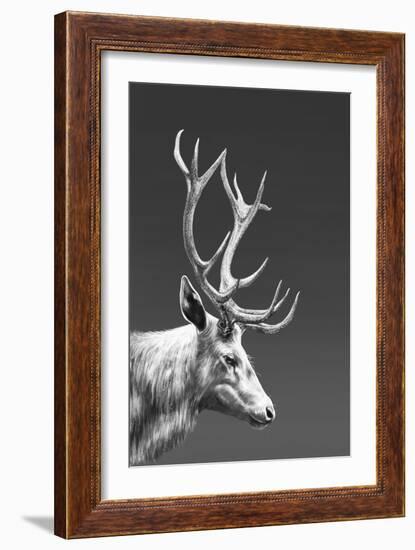 Reindeer-Gabriella Roberg-Framed Giclee Print