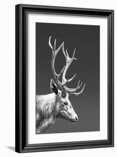 Reindeer-Gabriella Roberg-Framed Giclee Print