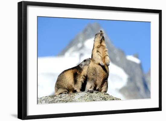 Photographic Print, , large