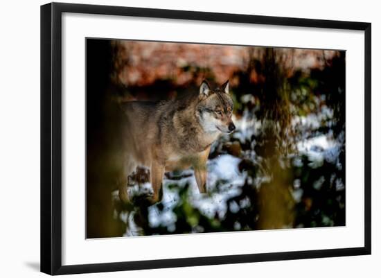 Photographic Print, , large