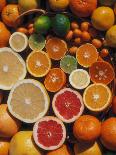 Citrus Fruits, Orange, Grapefruit, Lemon, Sliced in Half Showing Different Colours, Europe-Reinhard-Mounted Photographic Print