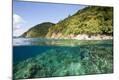 Photographic Print